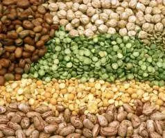 International Year of Pulses