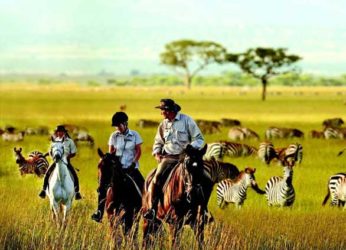 Kenya : Home to the wild – A must visit place