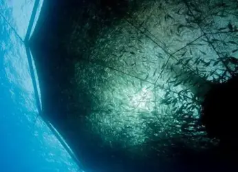 Aquatic Quarantine Facilities to be set up in Visakhapatnam