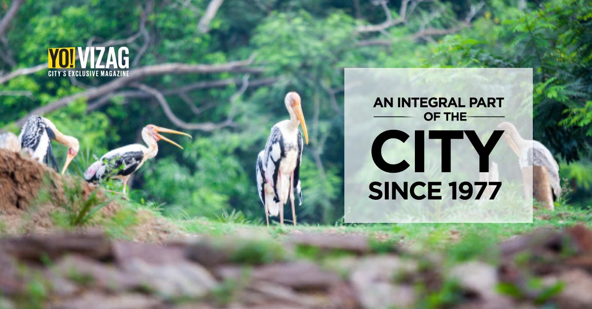 Vizag Zoo – An Integral Part Of The City Since 1977