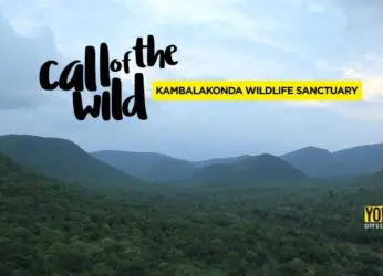 What makes Vizag’s Kambalakonda Wildlife Sanctuary special?