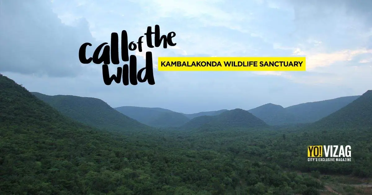 What makes Vizag's Kambalakonda Wildlife Sanctuary special?
