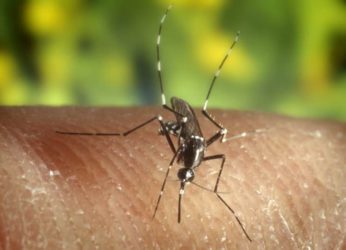 Be Careful Vizag – It’s Dengue Season!