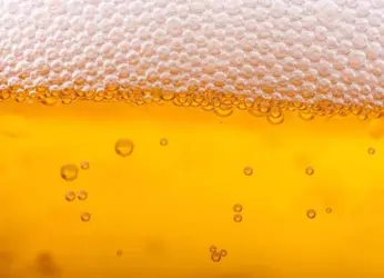 Beer Guide For Dummies