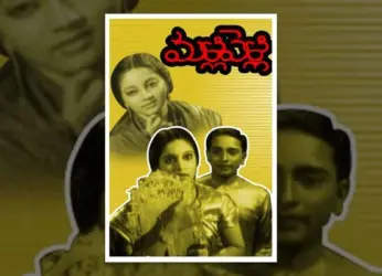 Telugu Film Festival To Be Hosted In Vizag