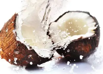 Nuts About Coconuts!