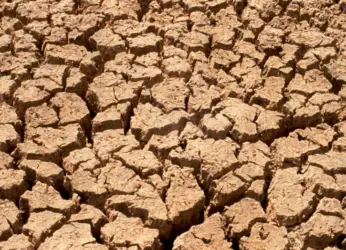 Drought Declared In More Than 23 Mandals in AP