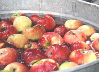 Lambasingi To Have Apple Orchards