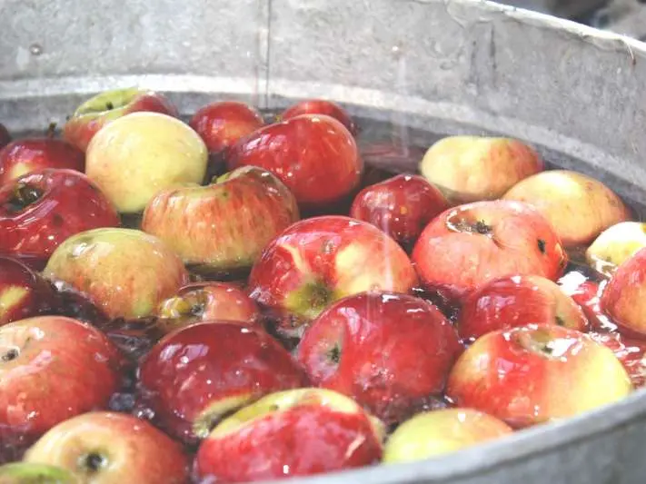 Lambasingi To Have Apple Orchards