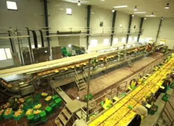 Patanjali Group To Set Up Food Parks In AP