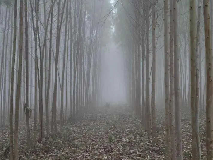 visakhapatnam, temperature