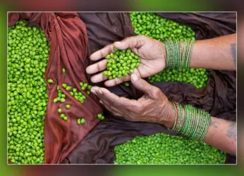 13 Rythu Bazaars in Visakhapatnam Switch to Paytm