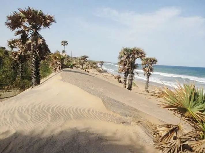 Walk your worries away at Sagar Nagar Beach