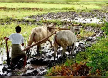 500 Acres of Land Occupied Illegally, Road Constructed Overnight