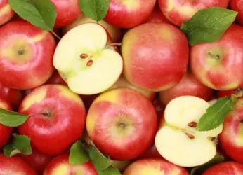 Get ready to taste Vizag’s own apples soon!