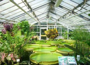 Vizag’s First Public Botanical Garden Back on Track