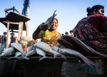 Modern Fish Market to open soon in Fishing Harbour
