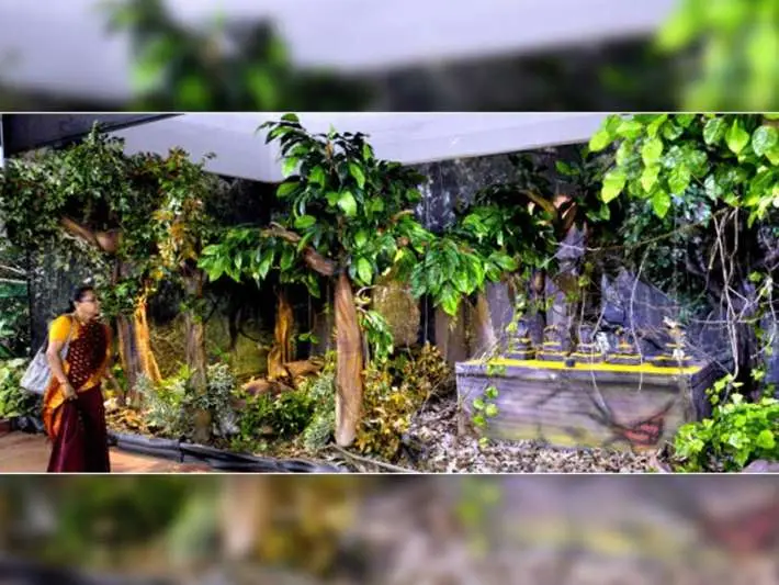 Sacred Grove Inaugurated In Vizag - Andhra Pradesh