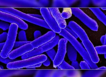 Research by Andhra Medical College shows positive results against the Superbug