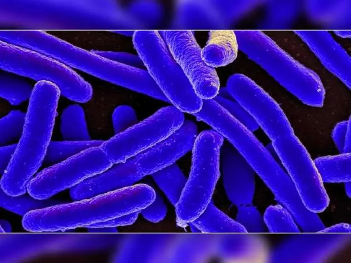 Research by Andhra Medical College shows positive results against the Superbug
