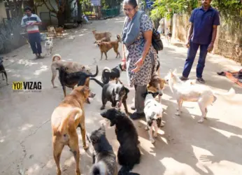 For The Love of Animals!