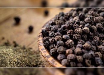 Black pepper: The untold story
