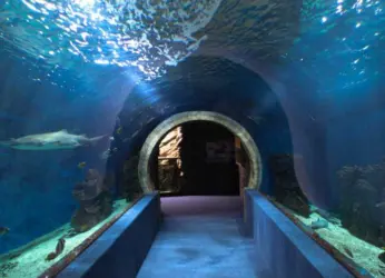 Oceanarium To Come Up In Vizag!