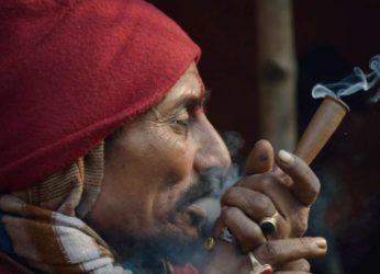 Price of Weed & Opium Goes Up In Visakhapatnam