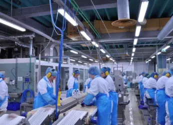 Modern Seafood Processing Plants to Come Up Soon