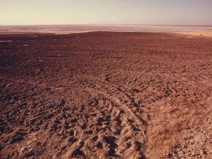 Soil Contamination On a High Level in Vizag