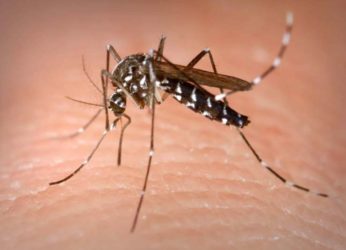 City Gearing up to Tackle Vector-Borne Diseases