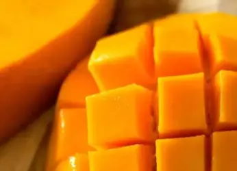 Banganapalle Mangoes of Andhra Pradesh Get GI Tag