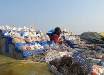 High Court Rules Against The Traders At Beach Road