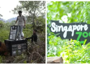 Explore Vizag’s museums on this International Museum Day