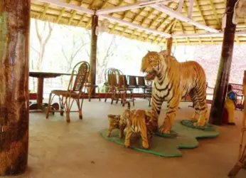 Adventure Activities To Be Launched At Kambalakonda