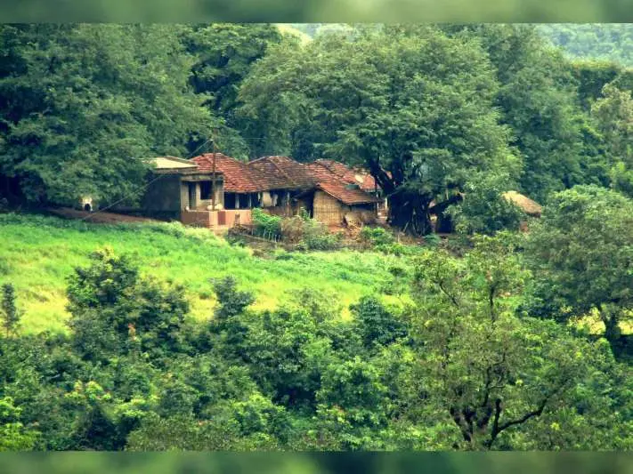 Homestays To Be Launched At Araku Soon!