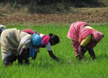 Plastic Rice Scare Causes Loss of Rs 3 Crore In Visakhapatnam