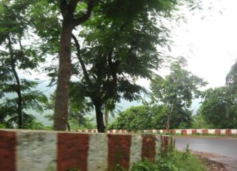 Simhachalam To Replace Native Plants With Exotic Species