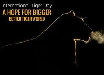 International Tiger Day celebrated in Vizag with a trek in Kambalkonda.