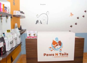 Paws N Tails – the best polyclinic and grooming centre for your pets in Vizag