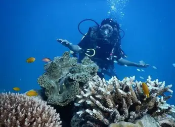 5 exciting activities that are set to establish Vizag as a tourist hub