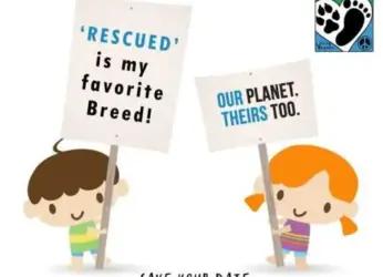 Animal Rights March to be held in Visakhapatnam on October 15th