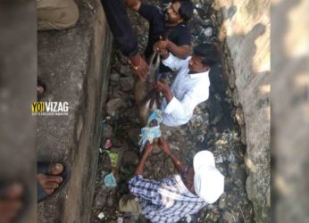 Officials rescue a deer that fell into a drain in Visakhapatnam