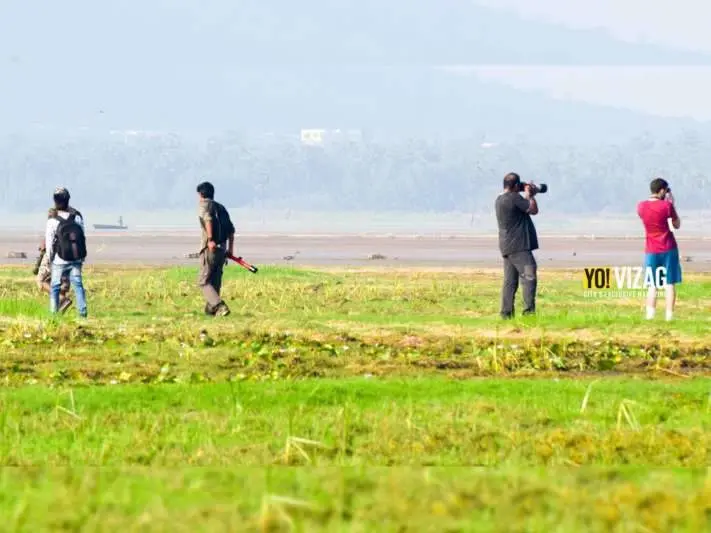 Bird Watching in Visakhapatnam: Here's all you need to know