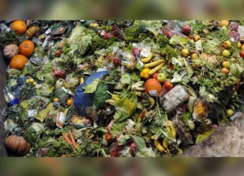 The shattering case of food wastage in Vizag