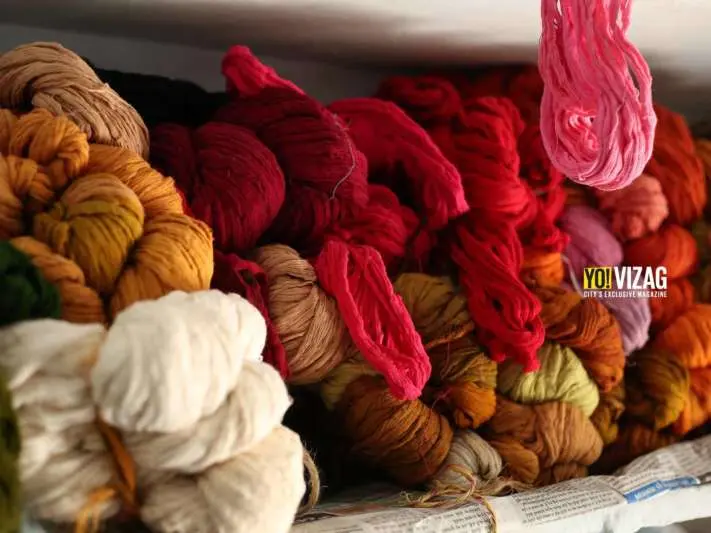 Handloom tales: looms of Narayanapuram