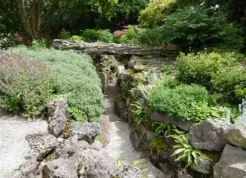 Rock garden with exotic plant species to be set up in Vizianagaram