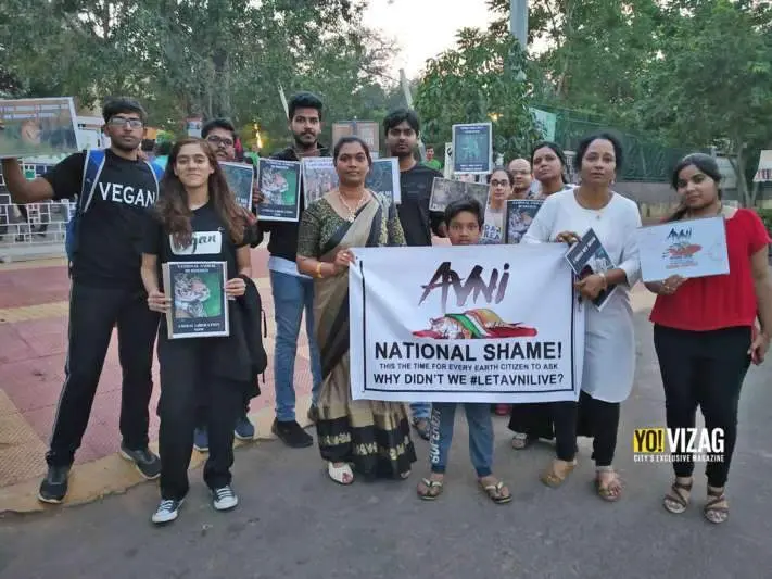 Visakhapatnam mourns the death of Avni; demands safety for her cubs