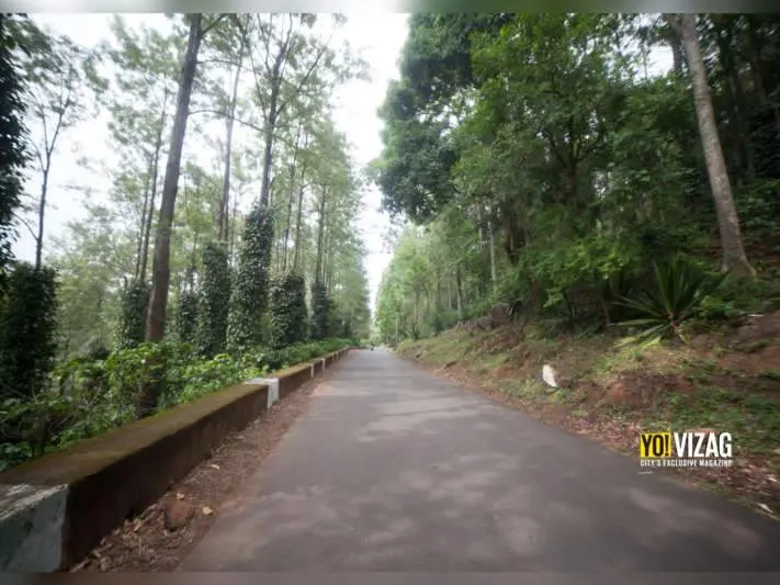 Special package to be launched for tourists visiting Araku