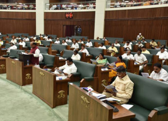 Highlights from the Andhra Pradesh Vote On Account Budget 2019